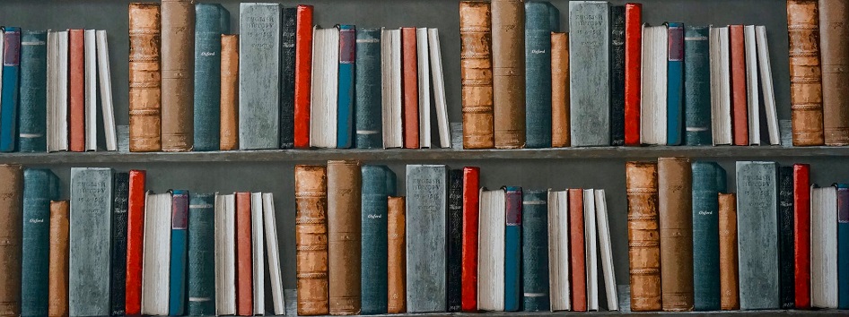 close-up of two shelves of books