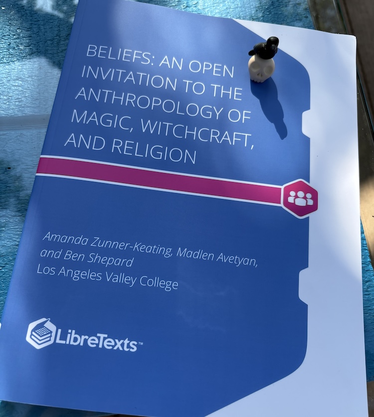 Copy of a print LibreTexts book