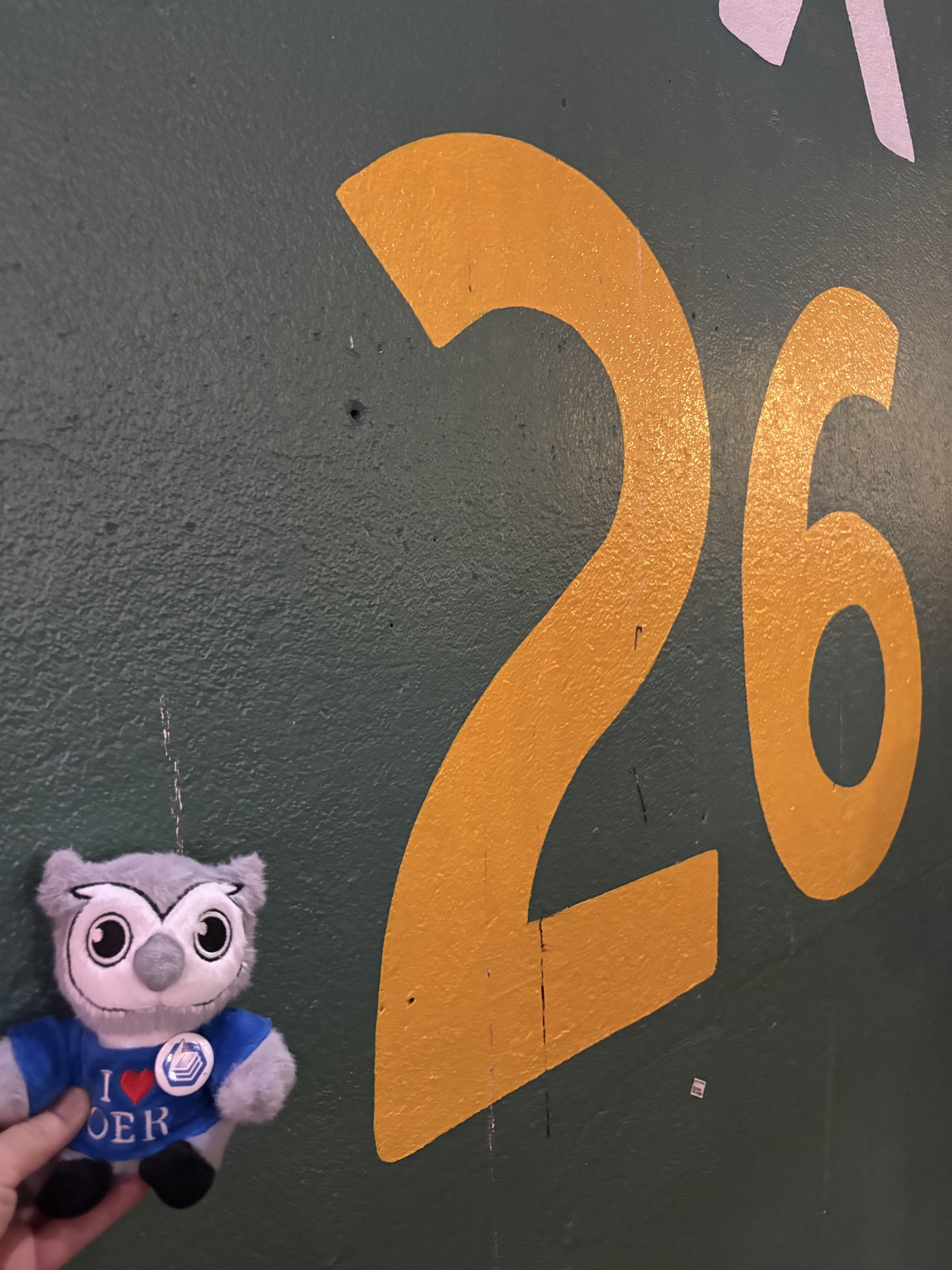 where in the world is Benny the owl?